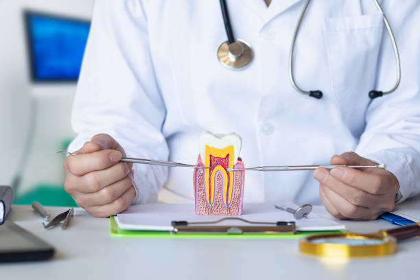 Best Emergency Root Canal Therapy in Hawi, HI